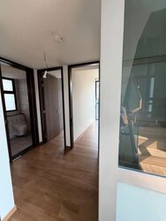 Belgravia Ace (D28), Semi-Detached #603367471